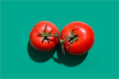 Why Tomatoes Are Critical for Working at Home