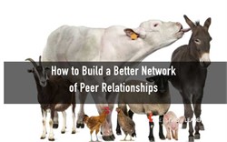 The four kinds of peer connections you need 